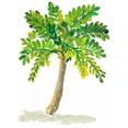 thumbnail image 3 of DeRice, Julie 12x14 Black Modern Framed Museum Art Print Titled - Palm Days IV, 3 of 5