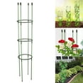 thumbnail image 3 of BELUPAI Plant Support Garden Conical Sturdy And Strong Durable Plastic Cherry Tomatoes Piles, 3 of 20
