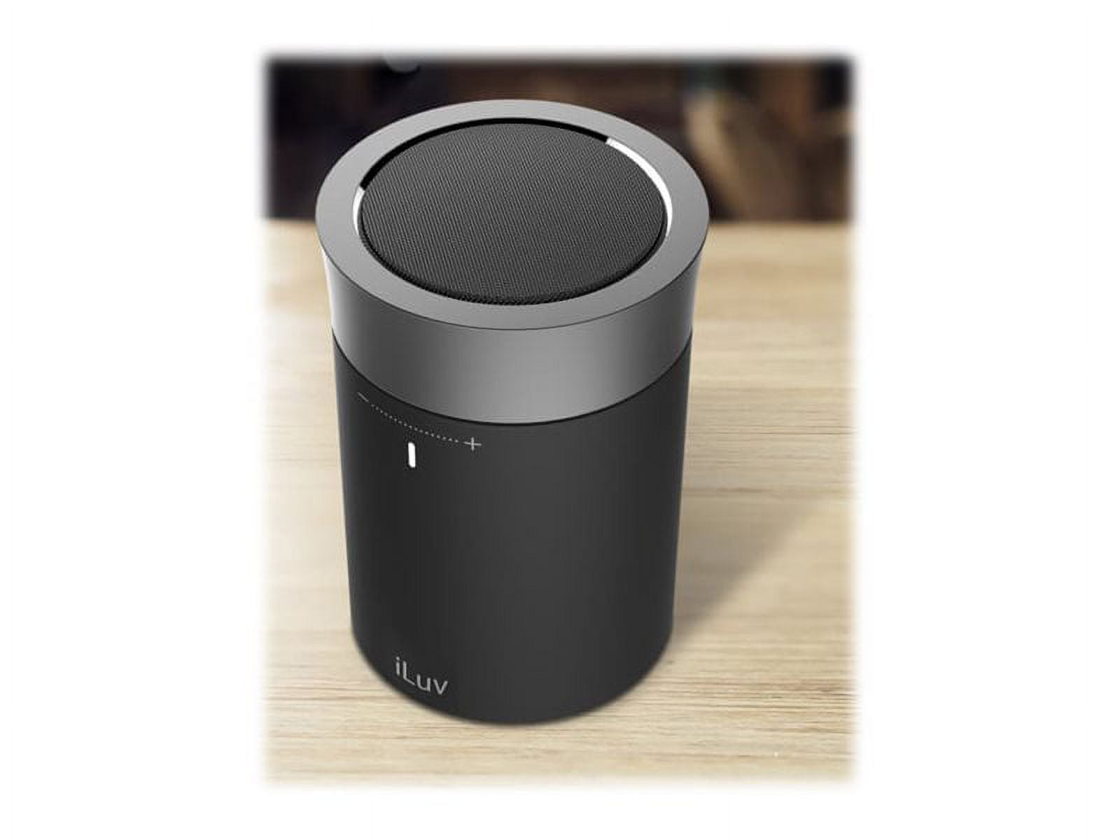 iLuv Aud Click Portable Wi-Fi & Bluetooth Voice-Control Speaker (Black)
