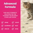 thumbnail image 3 of Cat Severe Mess Stain & Odor Remover - Advanced Formula for Tackling the Worst Cat Messes, Eco-Friendly Formula for Carpets and Home, 35 oz, 3 of 4