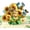 Sunflower Butterfly, variant on PTSPLLMY Birthday Card, Gold-Edged Butterfly Waltz Pop Up Card, 5x7 - 3D Greeting Card with Note Card & Envelope for Birthday, Anniversary, Thank You, Thanksgiving, Christmas, Get Well, Thinking o