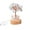 Sky Blue, variant on Natural White Quartz Tree Lamp LED Base Feng Shui Decoration for Home Decorative Night Light Unique Desktop Ornament