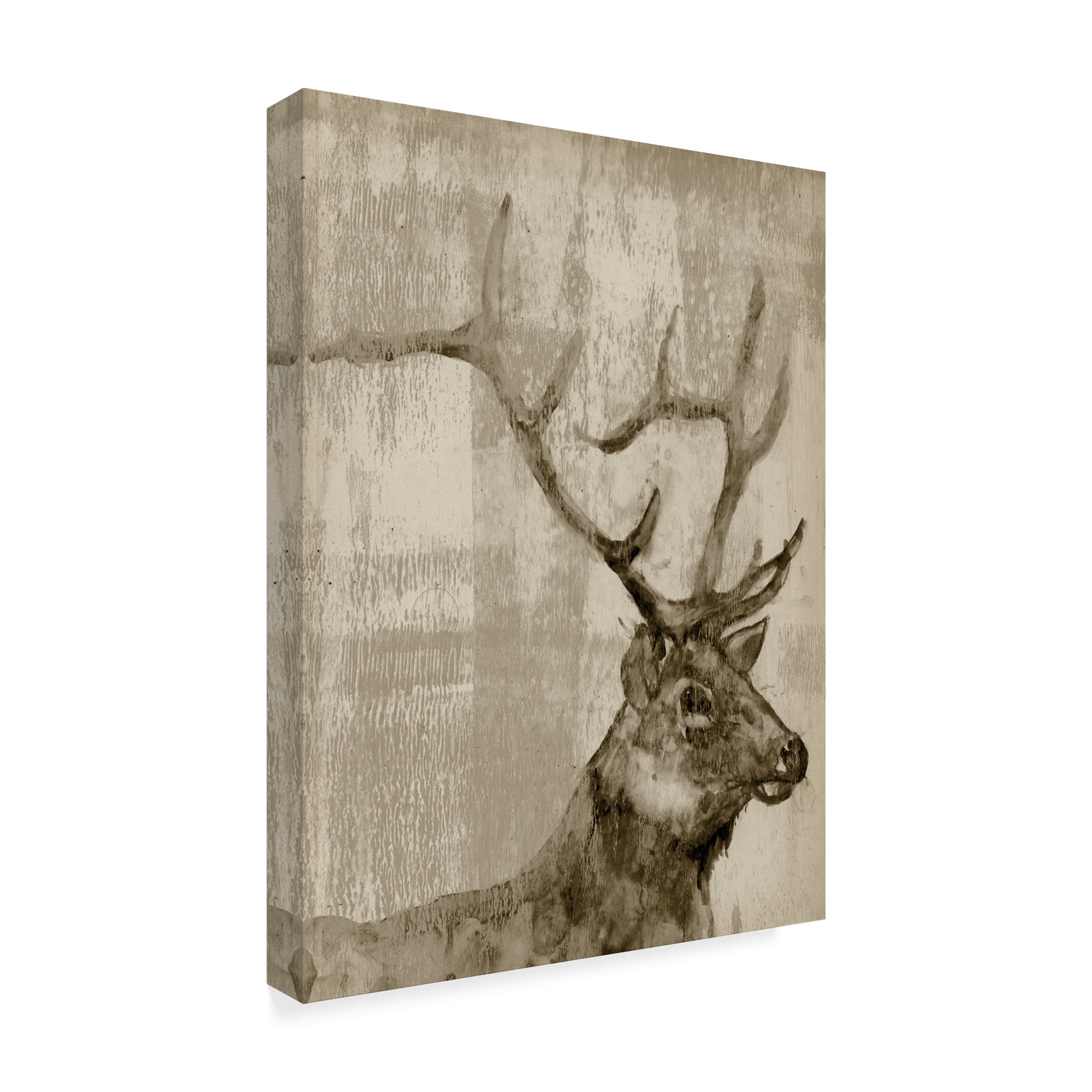 Trademark Fine Art 'Sepia Elk' Canvas Art by Jennifer Goldberger