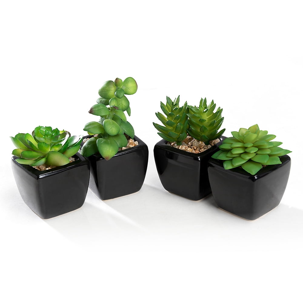 K-Cliffs Set of 4 Mini Artificial Succulents Potted in Cube-Shape Black Ceramic Pots , Dimensions(in inches):  11.0L x 3.0W x 4.3H"
