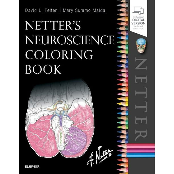 Download Netter S Neuroscience Coloring Book Paperback Walmart Com Walmart Com
