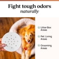 thumbnail image 2 of Eliminador de olores para mascotas Azuna, gel de 8 oz, aroma a cedro, 2 of 9