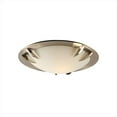 thumbnail image 1 of Paralline Ceiling Lights 1 Light Incandescent 60W in Satin Nickel, 1 of 1