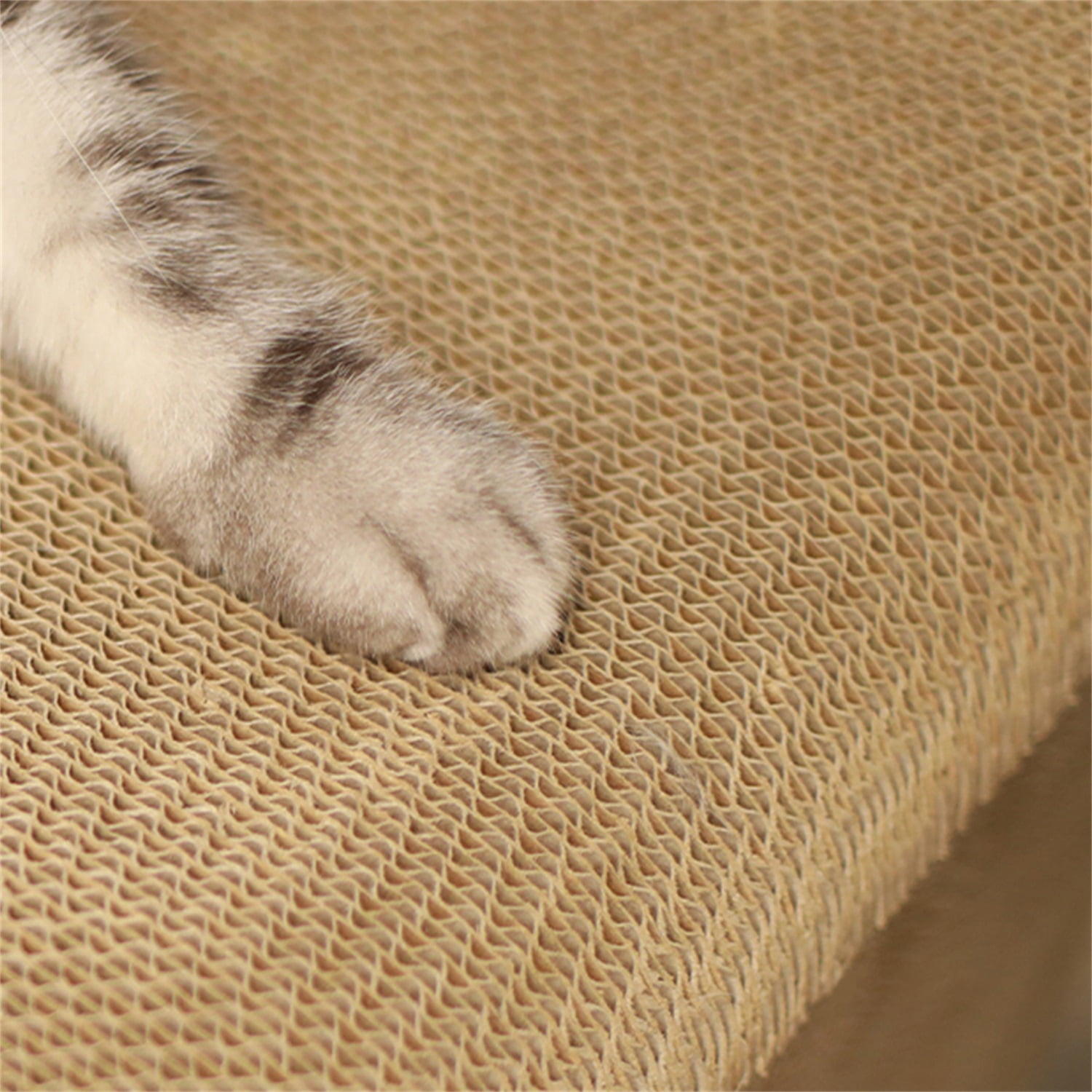 Pefilos Cats Bed Cat Cave for Girls Nest for Indoor Cats Sleeping Bed Self-Warming Pet Cube House Cat Shelter Scratcher Apartment Indoor for Kittens Pet House Art Radio Style Pefilos Cats Bed Cat Cave for Girls Nest for Indoor Cats Sleeping Bed Self-Warming Pet Cube House Cat Shelter Scratcher Apartment Indoor for Kittens Pet House Art Radio Style