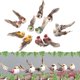 thumbnail image 4 of Decoración segura y confiable del pájaro de la simulación del color brillante pájaro artificial para la ventana del jardín de la escena del arte floral ANGGREK Otros, 4 of 8