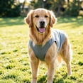 thumbnail image 5 of Sleeveless Dog Tank Top Summer Breathable Plain Pet Vest Machine Washable Soft Cotton Puppy T-Shirt for Small Medium Dogs Cats Indoor Outdoor Daily Wear, 5 of 6