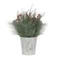 thumbnail image 5 of HOLIDAY TIME PL 15 en métal blanc pot arrangement, 5 of 5