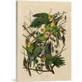 thumbnail image 1 of ARTCANVAS Carolina Parrot Canvas Art Print by John James Audubon - Size: 12" x 8" (0.75" Deep), 1 of 9