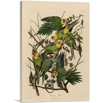 ARTCANVAS Carolina Parrot Canvas Art Print by John James Audubon - Size: 12" x 8" (0.75" Deep)