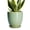 Bright Green, variant on 12 Inch Large Black Planter for Outdoor Halloween Decorations, Tall Matte Black Ceramic Pot with Tray for Porch, Spooky Flower Pot
