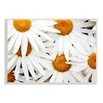 Stupell Industries Blooming Daisy Florals White Petals Flower Field Photography, 15 x 10, Design by Michael Broom