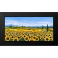 thumbnail image 2 of Marzari, Tebo 14x9 Black Modern Framed Museum Art Print Titled - Girasoli, 2 of 5