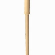 Ponyland Orange Tiger Animal Music Stick W/ Colorful Soft Plush Animal Head, Kids Ages 3+
