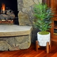 thumbnail image 4 of Mosser Lee ML0460 Natural Green Sheet Moss, 325 sq. in., 4 of 5