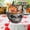 C, variant on Japceit Halloween Animated Ghost Jar Light, Electrified Pumpkin Ghost Decoration, Motion Shaking Hands Sound Effect, Spooky Tabletop Trick Prop,Indoor Party Display