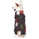 thumbnail image 1 of Balery Cute Christmas Gnomes Sudadera con Capucha para Perros Pequeños – Ropa para Mascotas, Disfraz para Perros y Gatos, Ideal para Fiestas y Cosplay-Small, 1 of 7