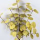 thumbnail image 2 of Esquejes de Hojas de Eucalipto ANGGREK 60 cm Color Dorado, 2 of 8