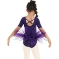 thumbnail image 2 of iiniim Toddler Girls Tutu Dress Ballet Dance Leotard Short Sleeves Tulle Dress Gymnastics Bodysuit, 2 of 7