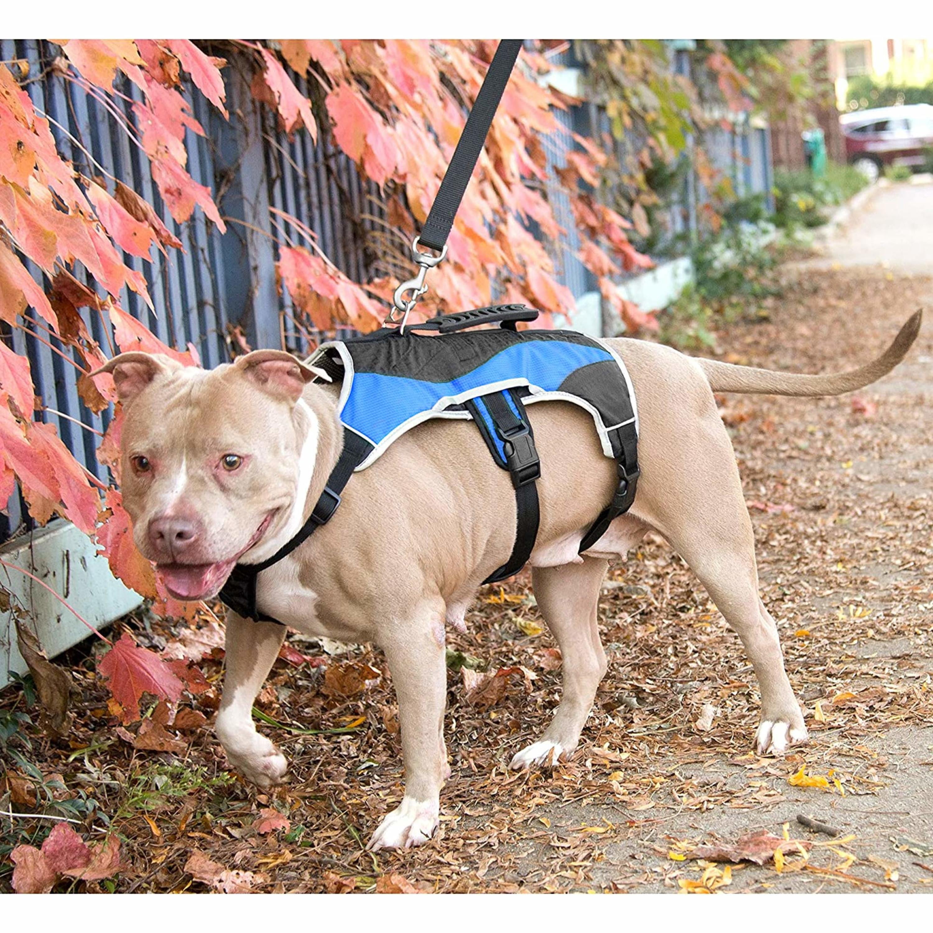 Peak Pooch No Pull Dog Harness for Small Dogs Light Blue, 20-27" Chest S