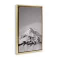thumbnail image 3 of Stupell Industries Icy Mountain Peak Iceland Gold Framed Floater Canvas Wall Art, design by Jade Sharp Photo, 25 x 17, 3 of 9