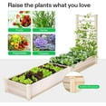 thumbnail image 5 of VIVOSUN Wooden Raised Garden Bed, 48 x 24 x 30 Inches, Outdoor Wood Planter Box with Gloves and a Liner, with Trellis for Vine Climbing for Garden, Patio, Balcony, Backyard and Outdoors, 5 of 7