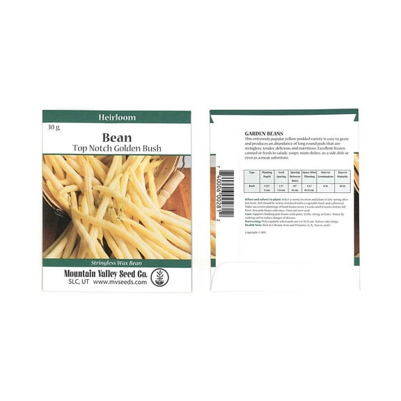 Top Notch Golden Wax Bush Beans - 30 Gram Packet - Non-GMO, Heirloom - Vegetable Garden Seeds - Gold