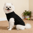 thumbnail image 4 of GASTROPOD 2026 New Mini Pet Dog Cat Knitted Jumper Warm Sweater Puppy Coat Jacket Clothes Costume for Dogs,Cats,Puppies,Small Pets,Winter,Outdoor Walks, 4 of 4