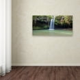 thumbnail image 4 of Twin Falls Maui' Canvas Art by Pierre Leclerc, 4 of 4