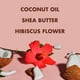 thumbnail image 5 of Aceite Corporal SheaMoisture Coco e Hibisco para Piel Radiante, 5 of 17