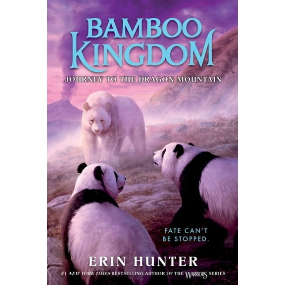 Bamboo Kingdom Bamboo Kingdom #3: Journey to the Dragon Mountain, Book 3, (Paperback)