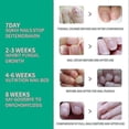 thumbnail image 3 of Kerassentials For Toenail Fungus Kerassentials Toenail Fungus Tre, 3 of 5