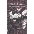 thumbnail image 1 of Wildflowers de Tidewater Virginie, 1 of 1