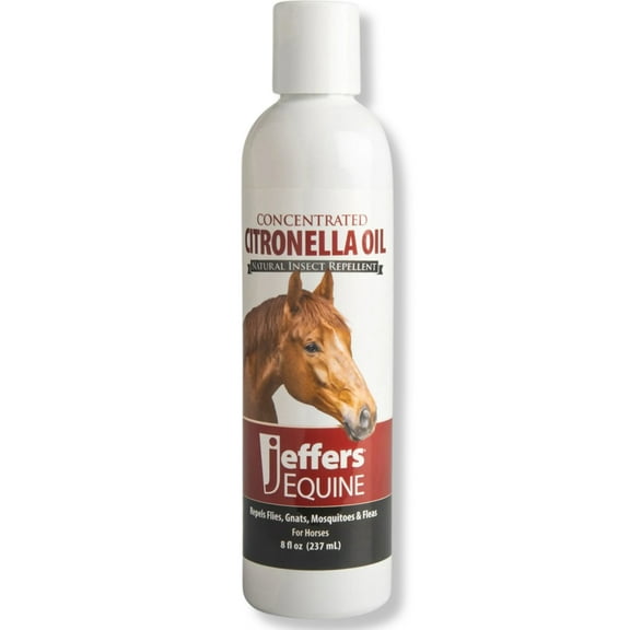 Jeffers Equine Citronella Oil – 8 oz 100% Pure Natural Essential Oil for Horses – Horse Shampoo Additive & Grooming Aid – Fresh Citrus Aroma – Safe, Eco Friendly, Non-Toxic Formula