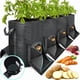 thumbnail image 1 of 4 Bolsas de Cultivo 15 Galones con Ventana Cosecha Única y Visible, Maceta Tela No Tejida Asa Resistente., 1 of 5
