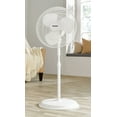 thumbnail image 4 of Pelonis 16" 3-Speed Oscillating, Adjustable Pedestal Fan, FS40-19MW, New, White, 4 of 6