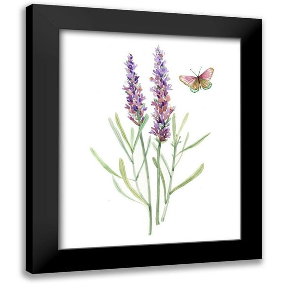 Robinson, Carol 12x14 Black Modern Framed Museum Art Print Titled - Wildflower Botanical I