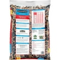 thumbnail image 6 of Pennington Recipe Selects Birder's Blend, Wild Bird Seed and Feed, 10 lb. Bag, 1 Pack, Dry, 6 of 7
