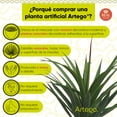 thumbnail image 3 of Planta artificial decorativa moderna con maceta Dracaena Palo de Brasil de 140cm de alto Artego para hogar sala comercio oficina, 3 of 8