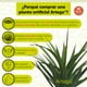thumbnail image 3 of Planta artificial decorativa moderna con maceta Dracaena Palo de Brasil de 140cm de alto Artego para hogar sala comercio oficina, 3 of 8