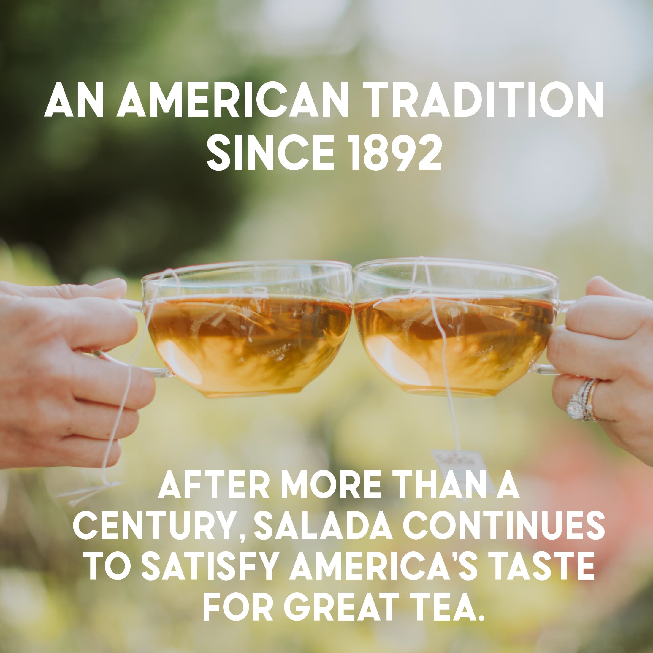 Salada White Tea with 40 Individually Wrapped Tea Bags Per Box (Pack of 6) Contains Caffeine Brew Hot Naturally Flavored