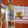 thumbnail image 4 of Vino Blanco Castillo   Sauvignon 750 ml, 4 of 4