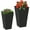 Black, variant on QISHENSHUI Set of 2 Magnesium Oxide Flower Pots – Sturdy Outdoor Planters Equipped with Practical Drainage Holes for Herbs, Flowers & Vegetable Gardens, Black