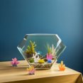 thumbnail image 4 of IFANLANDOR 16Ud Artificial De Coral Para Acuario Con Realistas Para Ambiente, 4 of 6