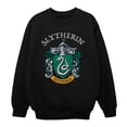 thumbnail image 1 of Harry Potter Boys Slytherin Crest Sweatshirt, 1 of 6
