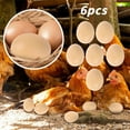 Poule Oeufs Oeufs Mannequin Aide Pondre 6PCS Home Decor On Sale