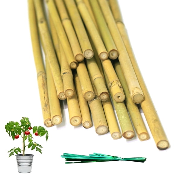 20Pcs Bamboo Stakes with Twist Ties, 17.7" Natural Bamboo Garden Stakes for Tomatoes Cucumber Grapes Pole Beans Trees Potted Dahlia Flowers and Climbing Plants